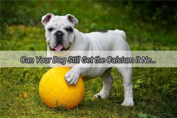 Can Your Dog Still Get the Calcium It Needs Debunking the Bone Spur Dilemma